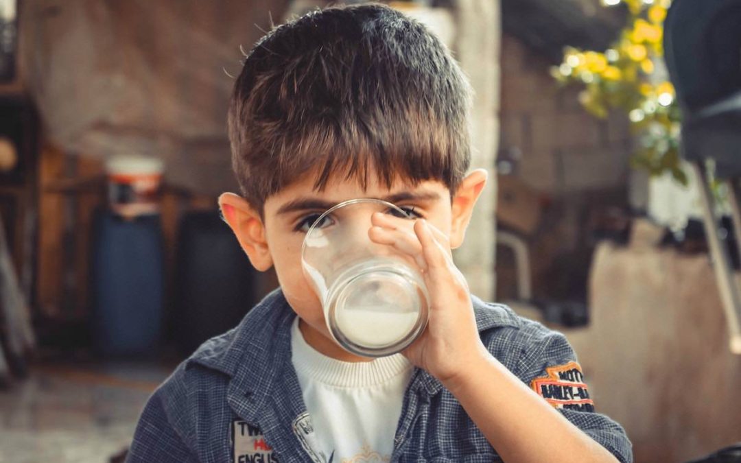 Is Cow’s Milk Toxic for My Child?