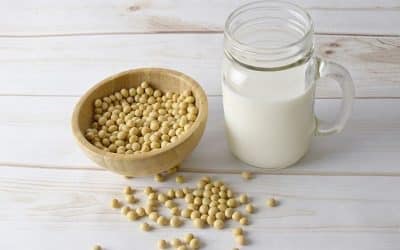 Soy Versus Skim: How the Dairy Industry Twists Results to Market Milk