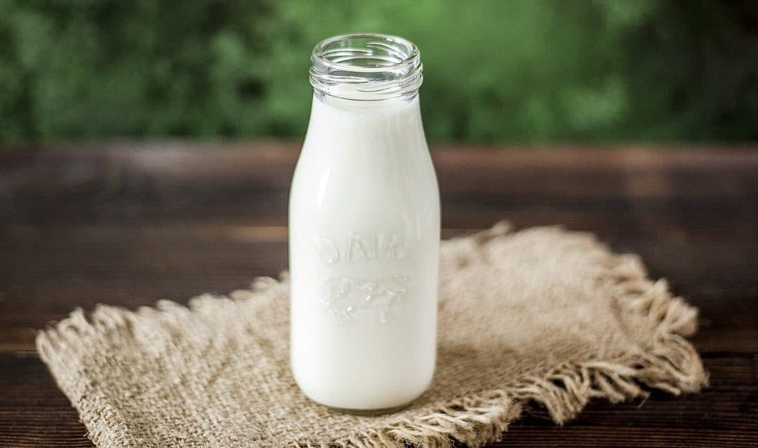 The Twisted History of Milk in America