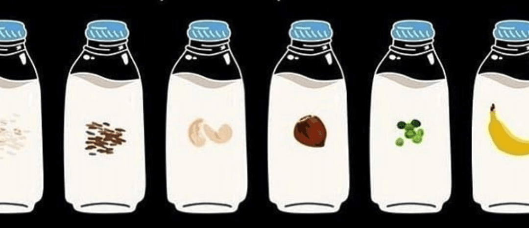 17 Types of Plant Based Milk You Need to Try