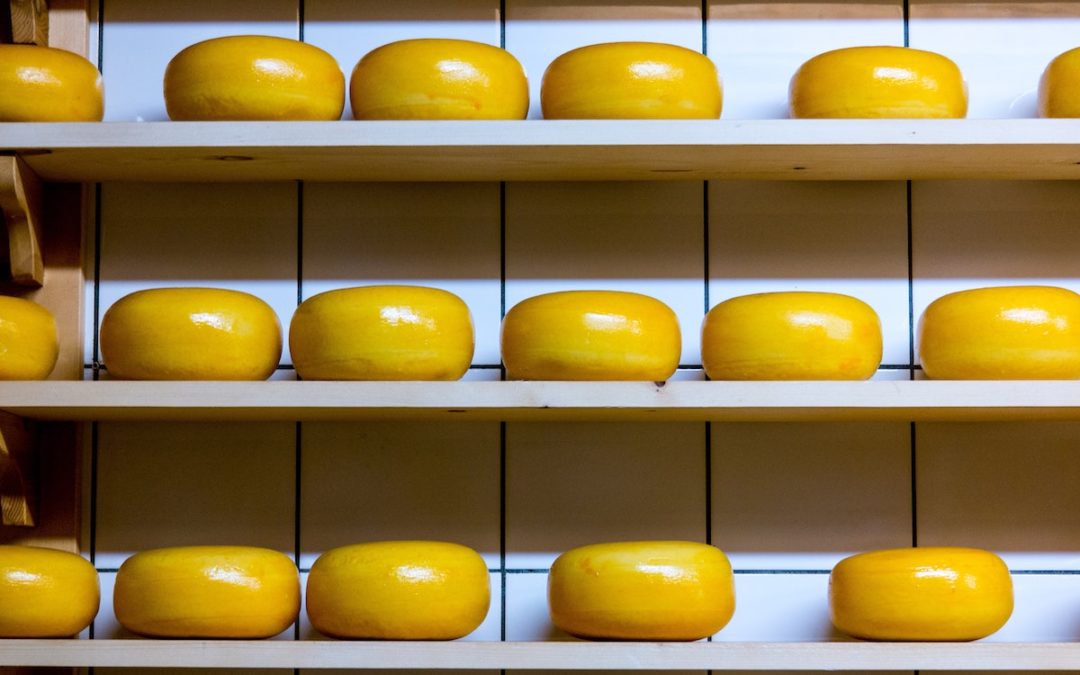 The 411 on Cheese: Definition, Health Risks, and Alternatives