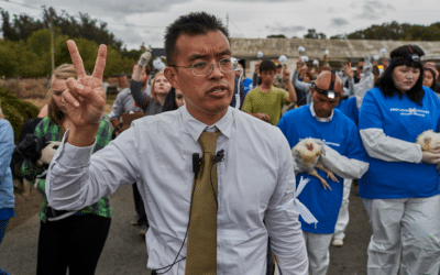 How to Win Rights for Animals with Activist Wayne Hsiung