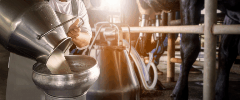 Dairy Linked to Acne, Diabetes, and Cancer According to Revolutionary Study