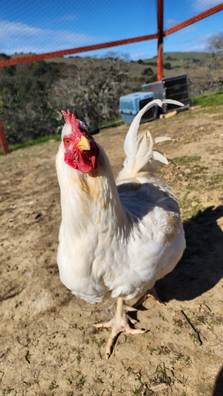 Alexandra is Not in Jail